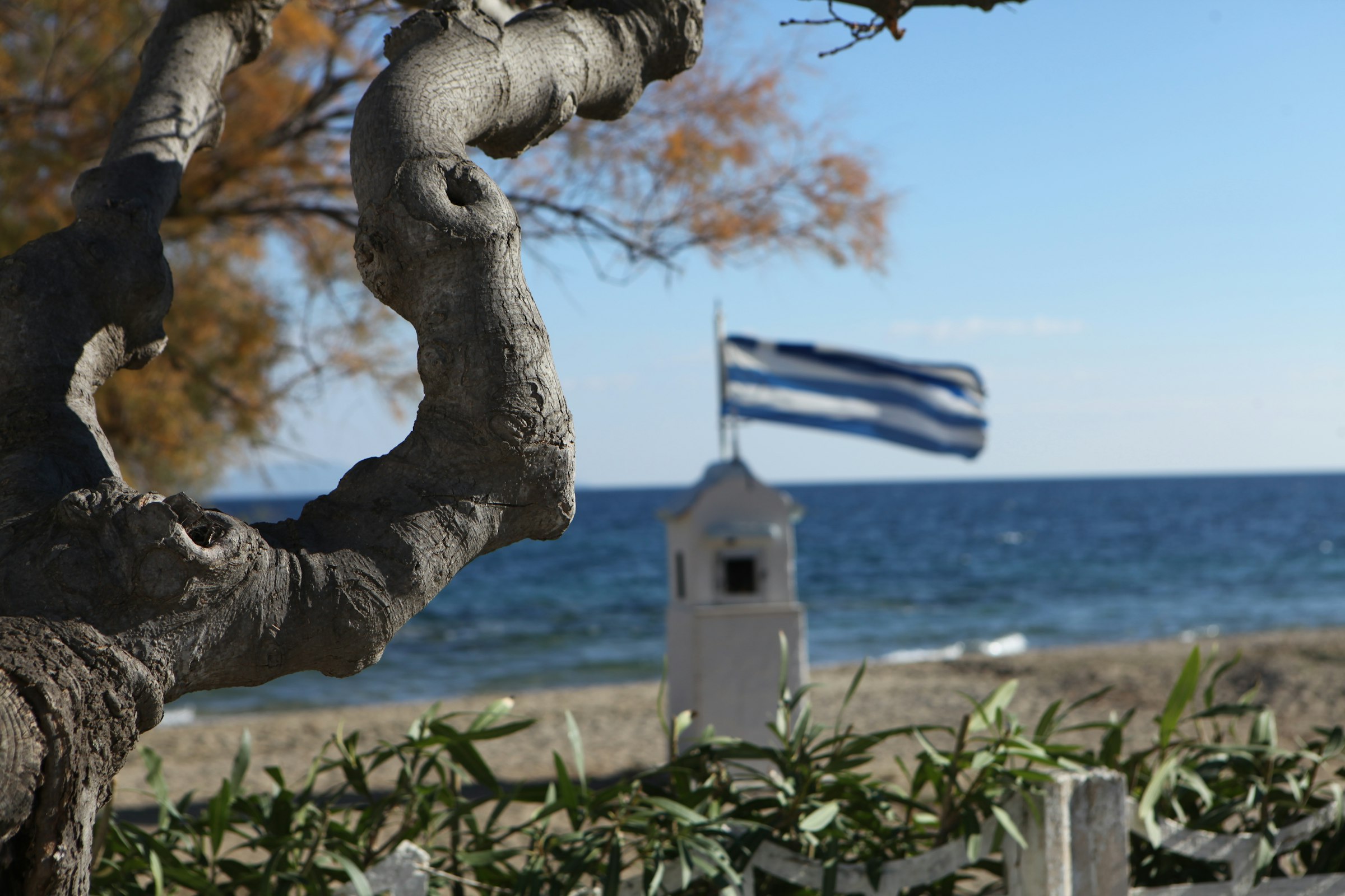 A Greek flag above a small white chapel on the beach, framed by the twisted branch of a tree and the sea.