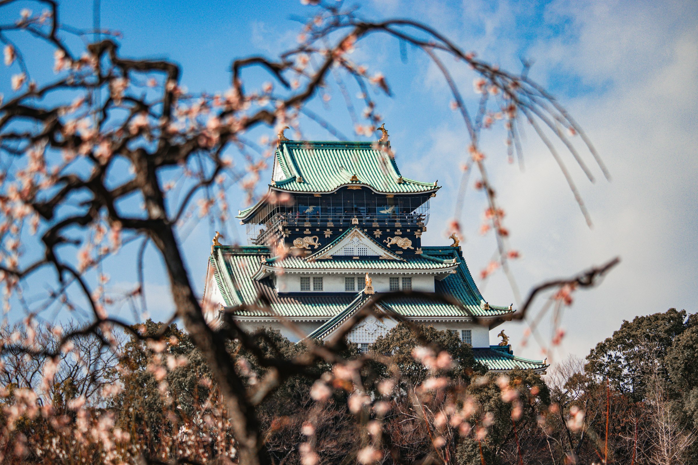 The white and green keep of Osaka Castle seen through the bare branches of a flowering plum tree.