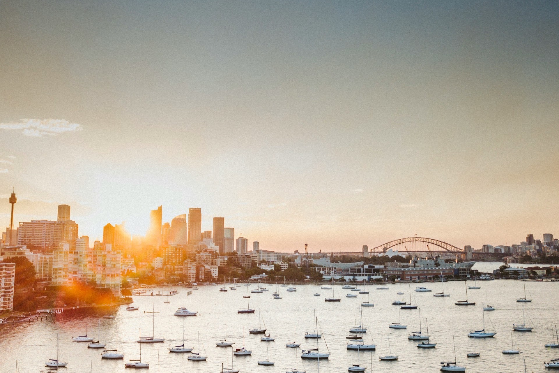 The harbour at sunset. The finish is on the Opera House forecourt, on the point below. Photograph: Josh Withers, Unsplash.