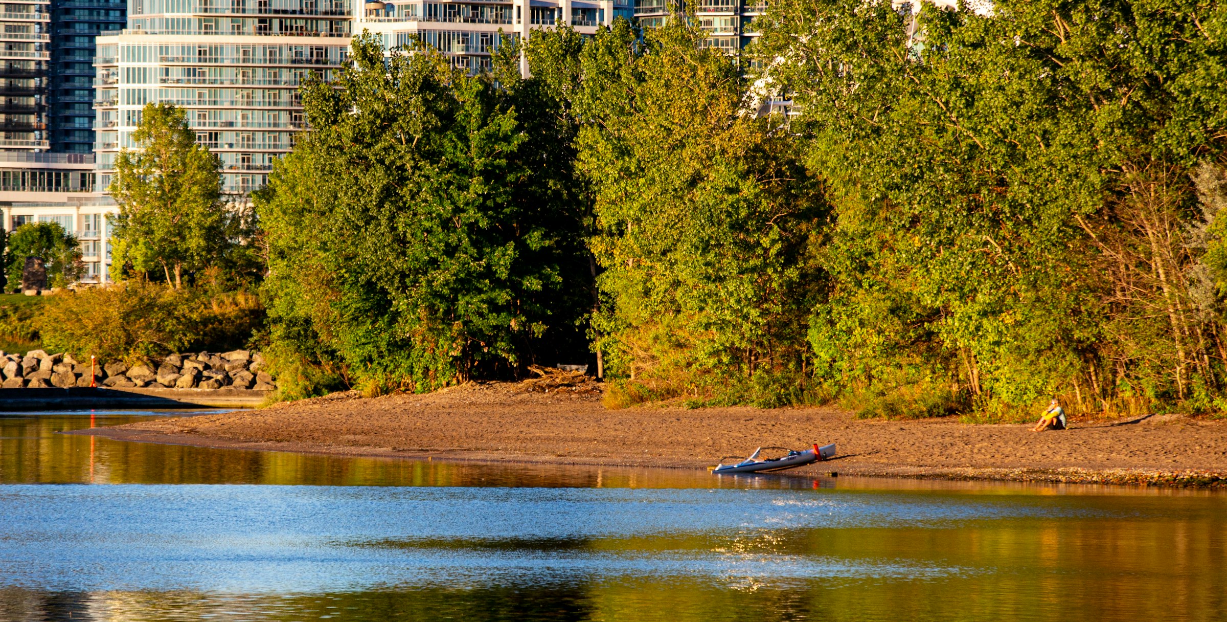 A rower resting on flat water below autumn trees on the Toronto lakeshore in early morning light.